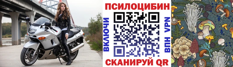 Псилоцибиновые грибы GOLDEN TEACHER  наркотики  Керчь 